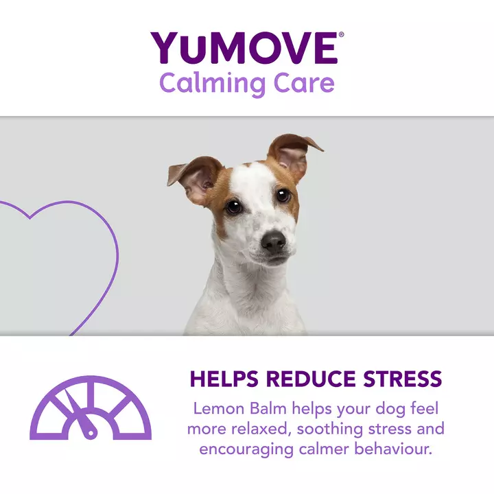 YuMOVE Calming Care For Adult Dogs 6 YuMOVE Calming Care For Adult Dogs - Image 6