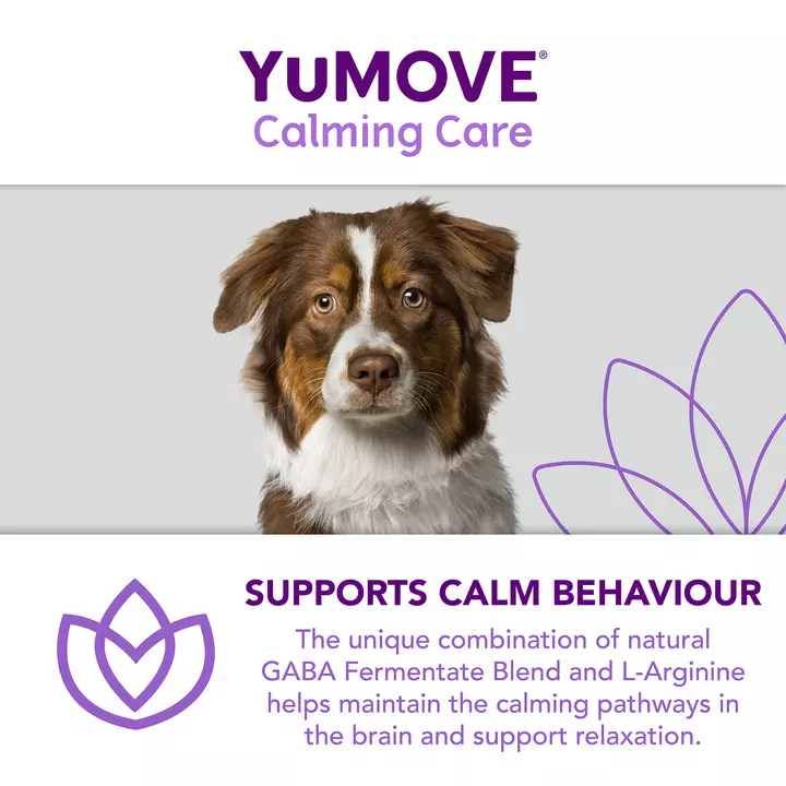 YuMOVE Calming Care For Adult Dogs 7 YuMOVE Calming Care For Adult Dogs - Image 7