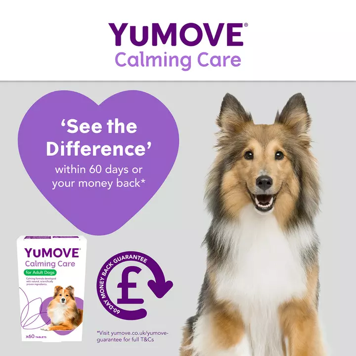 YuMOVE Calming Care For Adult Dogs 5 YuMOVE Calming Care For Adult Dogs - Image 5
