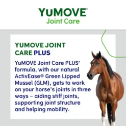 YuMOVE Horse PLUS Extra Joint Support Supplement -Pet World Outlet Sales yumove horse plus extra joint support supplement es1r.jpg