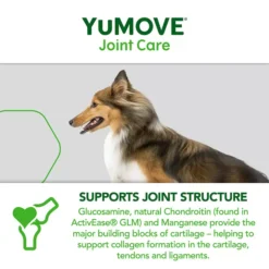 YuMOVE Joint Care One-a-Day For Dogs -Pet World Outlet Sales yumove joint care oneaday for dogs 39vg.jpg