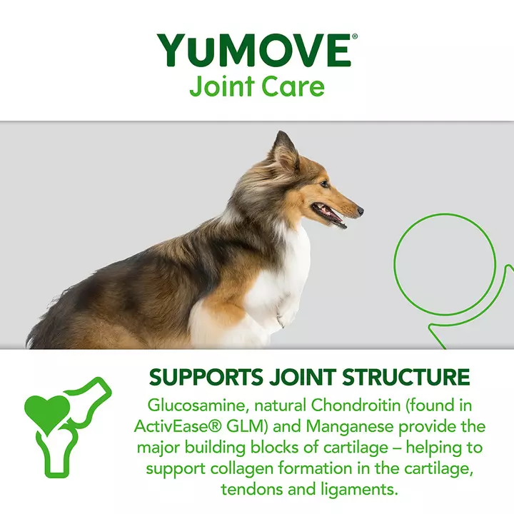 YuMOVE Joint Care For Adult Dogs 7 YuMOVE Joint Care For Adult Dogs - Image 7