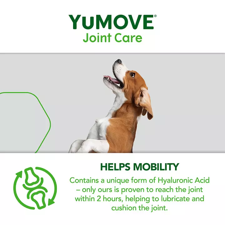 YuMOVE Joint Care For Adult Dogs 8 YuMOVE Joint Care For Adult Dogs - Image 8