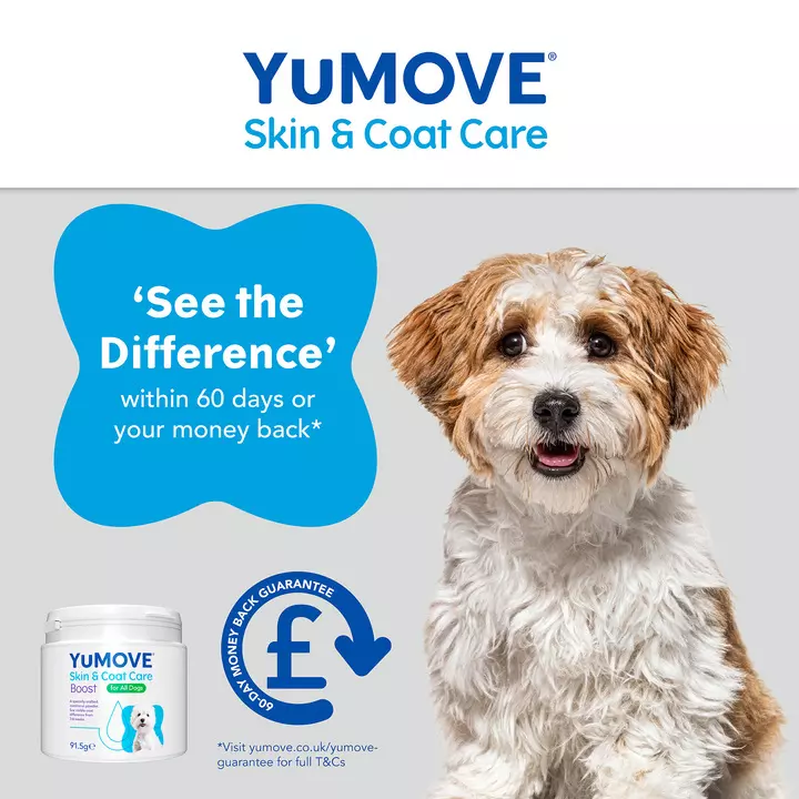 YuMOVE Skin & Coat Care Boost 5 YuMOVE Skin & Coat Care Boost - Image 5