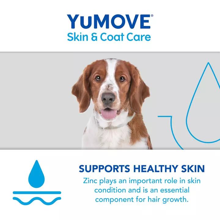 YuMOVE Skin & Coat Care Boost 7 YuMOVE Skin & Coat Care Boost - Image 7
