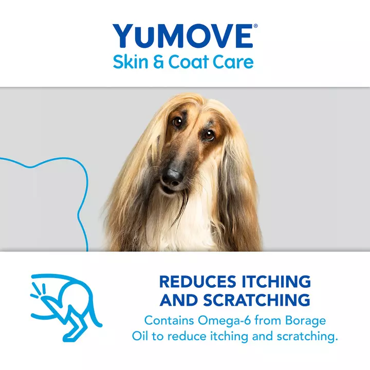 YuMOVE Skin & Coat Care Itching For Adult Dogs 6 YuMOVE Skin & Coat Care Itching For Adult Dogs - Image 6