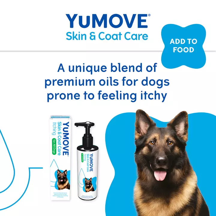 YuMOVE Skin & Coat Care Itching For Adult Dogs 3 YuMOVE Skin & Coat Care Itching For Adult Dogs - Image 3