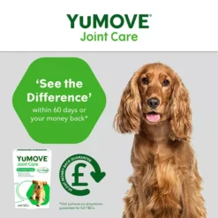 YuMOVE Joint Care For Adult Dogs 13 YuMOVE Joint Care For Adult Dogs -Pet World Outlet Sales yumove vh12.jpg