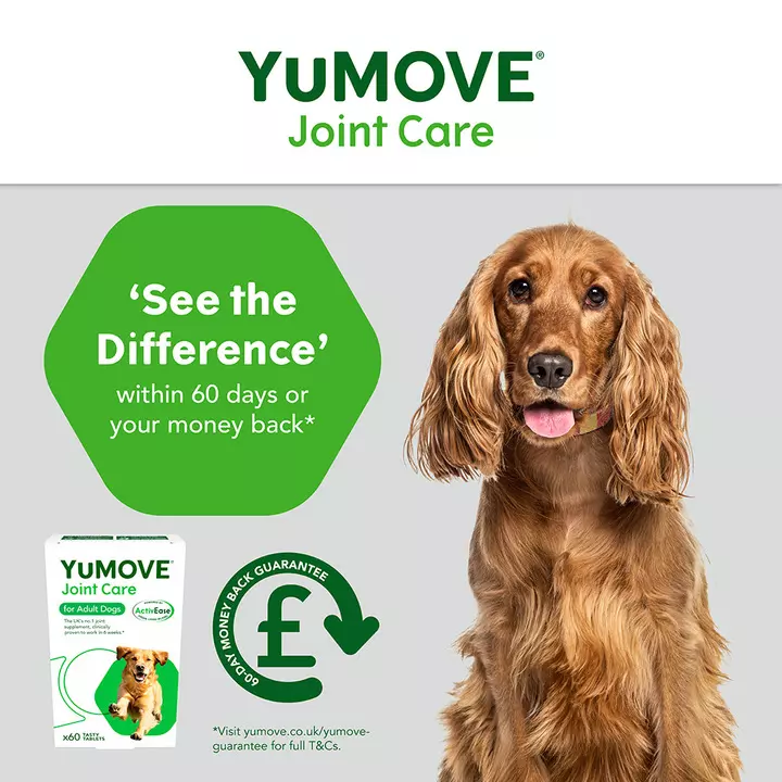 YuMOVE Joint Care For Adult Dogs 5 YuMOVE Joint Care For Adult Dogs - Image 5
