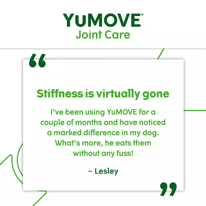 YuMOVE Joint Care For Adult Dogs 4 YuMOVE Joint Care For Adult Dogs - Image 4