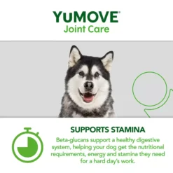 YuMOVE Working Dog Essential Joint Support -Pet World Outlet Sales yumove working dog essential joint support vl0p.jpg